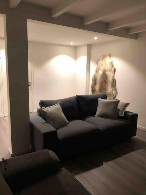 Stella Lapponia Two Floors 200 Sqm Rovaniemi Exterior foto